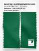 Artikelbild 2 des Artikels “PANTONE® COTTON SWATCH CARD 18-6024 TCX Amazon “