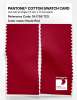 Product image 2 of the product “PANTONE® COTTON SWATCH CARD 19-1758 TCX Haute Red ”