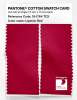Product image 2 of the product “PANTONE® COTTON SWATCH CARD 19-1764 TCX Lipstick Red ”