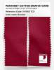 Product image 2 of the product “PANTONE® COTTON SWATCH CARD 19-1863 TCX Scooter ”