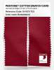 Artikelbild 2 des Artikels “PANTONE® COTTON SWATCH CARD 19-1875 TCX Emboldened “