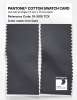 Product image 2 of the product “PANTONE® COTTON SWATCH CARD 19-3910 TCX Iron Gate ”