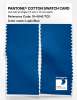 Artikelbild 2 des Artikels “PANTONE® COTTON SWATCH CARD 19-4045 TCX Lapis Blue “