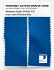 Artikelbild 2 des Artikels “PANTONE® COTTON SWATCH CARD 19-4150 TCX Princess Blue “