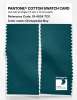 Artikelbild 2 des Artikels “PANTONE® COTTON SWATCH CARD 19-4534 TCX Chesapeake Bay “