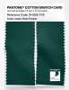 Product image 2 of the product “PANTONE® COTTON SWATCH CARD 19-5232 TCX Rain Forest ”