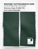 Artikelbild 2 des Artikels “PANTONE® COTTON SWATCH CARD 19-5920 TCX Pineneedle “