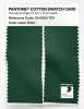 Product image 2 of the product “PANTONE® COTTON SWATCH CARD 19-6050 TCX Eden ”