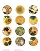 Artikelbild 2 des Artikels “Viewpoint Colour no. 05  “