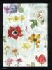 Artikelbild 3 des Artikels “Fiori  “
