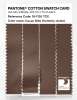 Artikelbild 3 des Artikels “PANTONE® COTTON SWATCH CARD 18-1130 TCX Aztec “