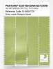 Product image 3 of the product “PANTONE® COTTON SWATCH CARD 12-0435 TCX Daiquiri Green ”