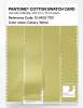 Artikelbild 3 des Artikels “PANTONE® COTTON SWATCH CARD 12-0633 TCX Canary Yellow “
