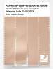Product image 3 of the product “PANTONE® COTTON SWATCH CARD 12-0913 TCX Alesan ”