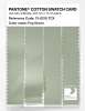 Product image 3 of the product “PANTONE® COTTON SWATCH CARD 13-0210 TCX Fog Green ”