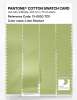 Artikelbild 3 des Artikels “PANTONE® COTTON SWATCH CARD 13-0530 TCX Lime Sherbet “