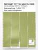 Product image 3 of the product “PANTONE® COTTON SWATCH CARD 13-0532 TCX Celery Green ”