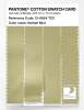 Artikelbild 3 des Artikels “PANTONE® COTTON SWATCH CARD 13-0624 TCX Golden Mist “