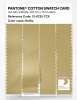 Product image 3 of the product “PANTONE® COTTON SWATCH CARD 13-0725 TCX Raffia ”