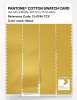 Product image 3 of the product “PANTONE® COTTON SWATCH CARD 13-0746 TCX Maize ”