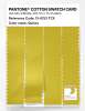 Artikelbild 3 des Artikels “PANTONE® COTTON SWATCH CARD 13-0753 TCX Quince “