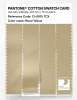 Product image 3 of the product “PANTONE® COTTON SWATCH CARD 13-0915 TCX Reed Yellow ”