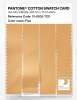 Product image 3 of the product “PANTONE® COTTON SWATCH CARD 13-0935 TCX Flax ”