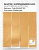 Artikelbild 3 des Artikels “PANTONE® COTTON SWATCH CARD 13-0945 TCX Pale Marigold “