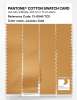 Artikelbild 3 des Artikels “PANTONE® COTTON SWATCH CARD 13-0946 TCX Jurassic Gold “