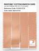 Product image 3 of the product “PANTONE® COTTON SWATCH CARD 13-1020 TCX Apricot Ice ”