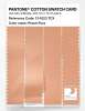 Artikelbild 3 des Artikels “PANTONE® COTTON SWATCH CARD 13-1023 TCX Peach Fuzz “