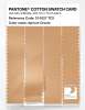 Product image 3 of the product “PANTONE® COTTON SWATCH CARD 13-1027 TCX Apricot Cream ”