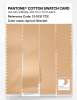 Product image 3 of the product “PANTONE® COTTON SWATCH CARD 13-1031 TCX Apricot Sherbet ”