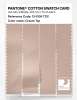 Product image 3 of the product “PANTONE® COTTON SWATCH CARD 13-1108 TCX Cream Tan ”
