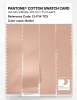 Product image 3 of the product “PANTONE® COTTON SWATCH CARD 13-1114 TCX Bellini ”