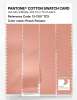 Artikelbild 3 des Artikels “PANTONE® COTTON SWATCH CARD 13-1307 TCX Peach Palazzo “
