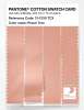 Artikelbild 3 des Artikels “PANTONE® COTTON SWATCH CARD 13-1330 TCX Peach Tree “