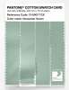 Product image 3 of the product “PANTONE® COTTON SWATCH CARD 13-5907 TCX Gossamer Green ”