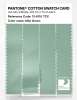 Artikelbild 3 des Artikels “PANTONE® COTTON SWATCH CARD 13-6110 TCX Mist Green “