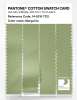Product image 3 of the product “PANTONE® COTTON SWATCH CARD 14-0116 TCX Margarita ”