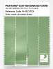 Artikelbild 3 des Artikels “PANTONE® COTTON SWATCH CARD 14-0123 TCX Arcadian Green “