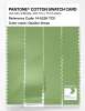 Product image 3 of the product “PANTONE® COTTON SWATCH CARD 14-0226 TCX Opaline Green ”