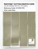 Artikelbild 3 des Artikels “PANTONE® COTTON SWATCH CARD 14-0418 TCX Bog “