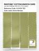 Product image 3 of the product “PANTONE® COTTON SWATCH CARD 14-0434 TCX Green Banana ”