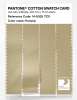 Product image 3 of the product “PANTONE® COTTON SWATCH CARD 14-0925 TCX Parsnip ”