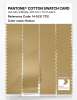 Artikelbild 3 des Artikels “PANTONE® COTTON SWATCH CARD 14-1031 TCX Rattan “