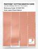 Product image 3 of the product “PANTONE® COTTON SWATCH CARD 14-1228 TCX Peach Nectar ”