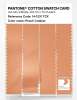Artikelbild 3 des Artikels “PANTONE® COTTON SWATCH CARD 14-1231 TCX Peach Cobbler “
