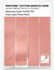 Product image 3 of the product “PANTONE® COTTON SWATCH CARD 14-1419 TCX Peach Pearl ”