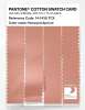 Artikelbild 3 des Artikels “PANTONE® COTTON SWATCH CARD 14-1430 TCX Honeyed Apricot “